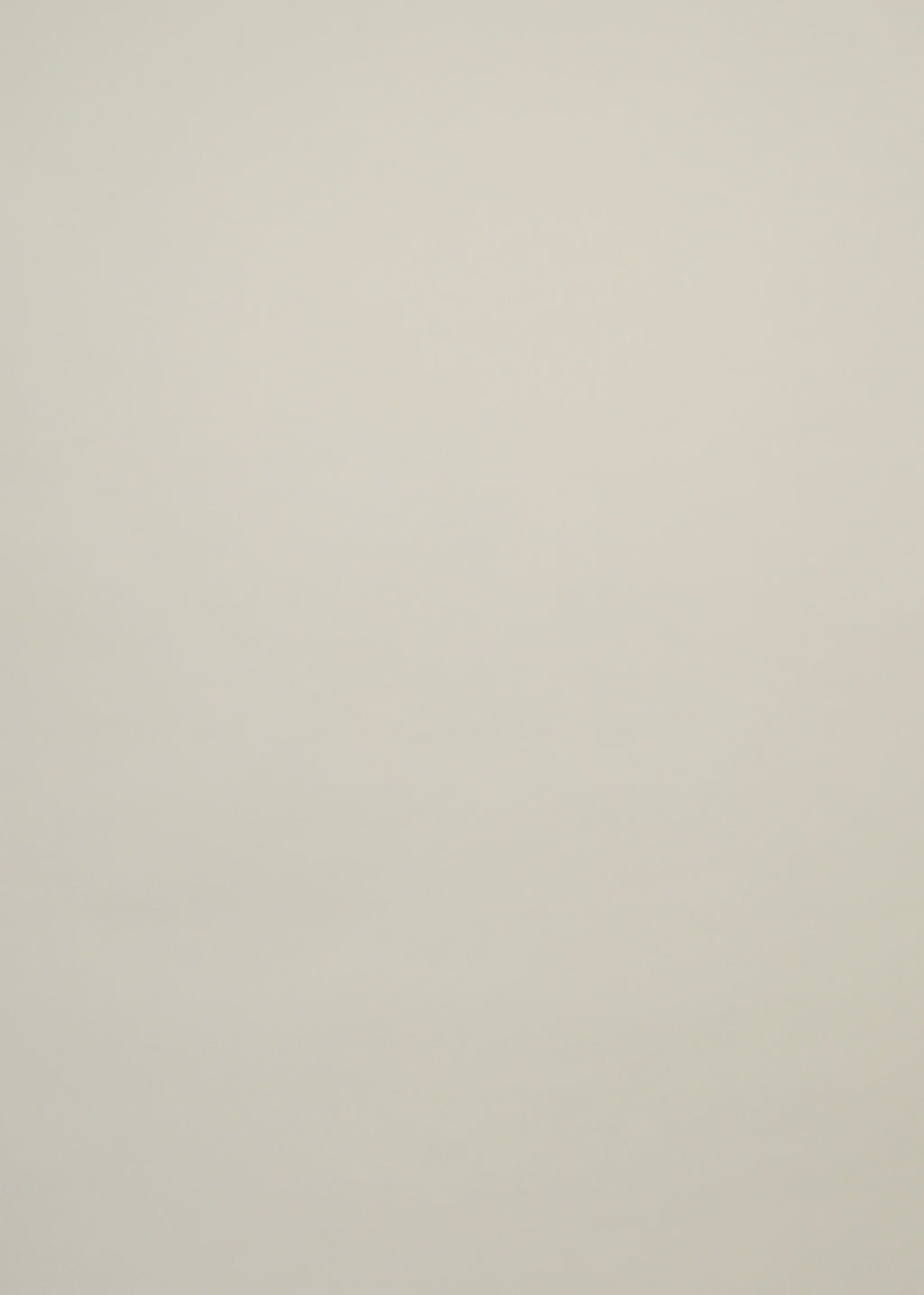 Chemise Sofia - CSITFL-BGU003