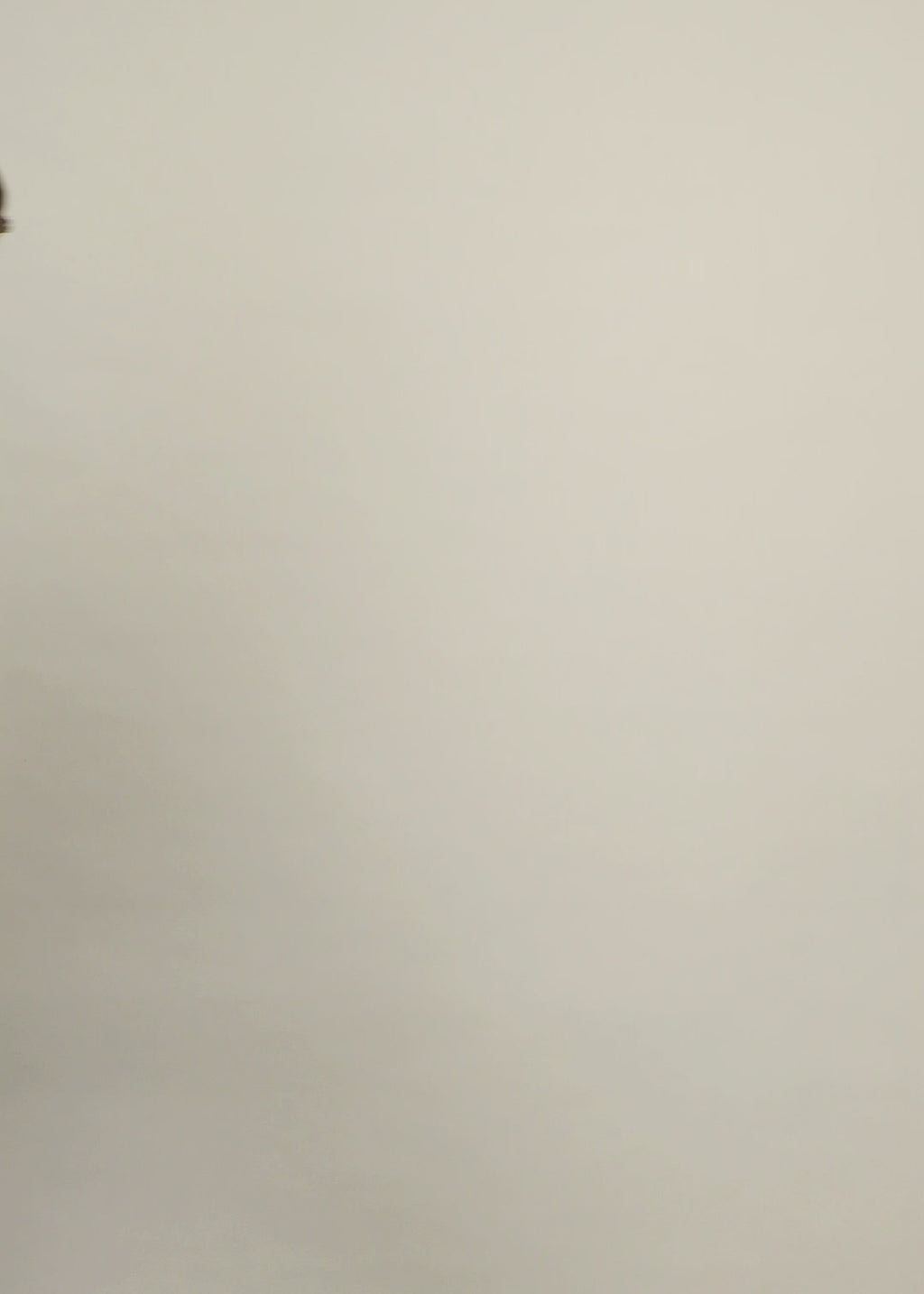 Noemi Shirt - CSIMTW-BER063