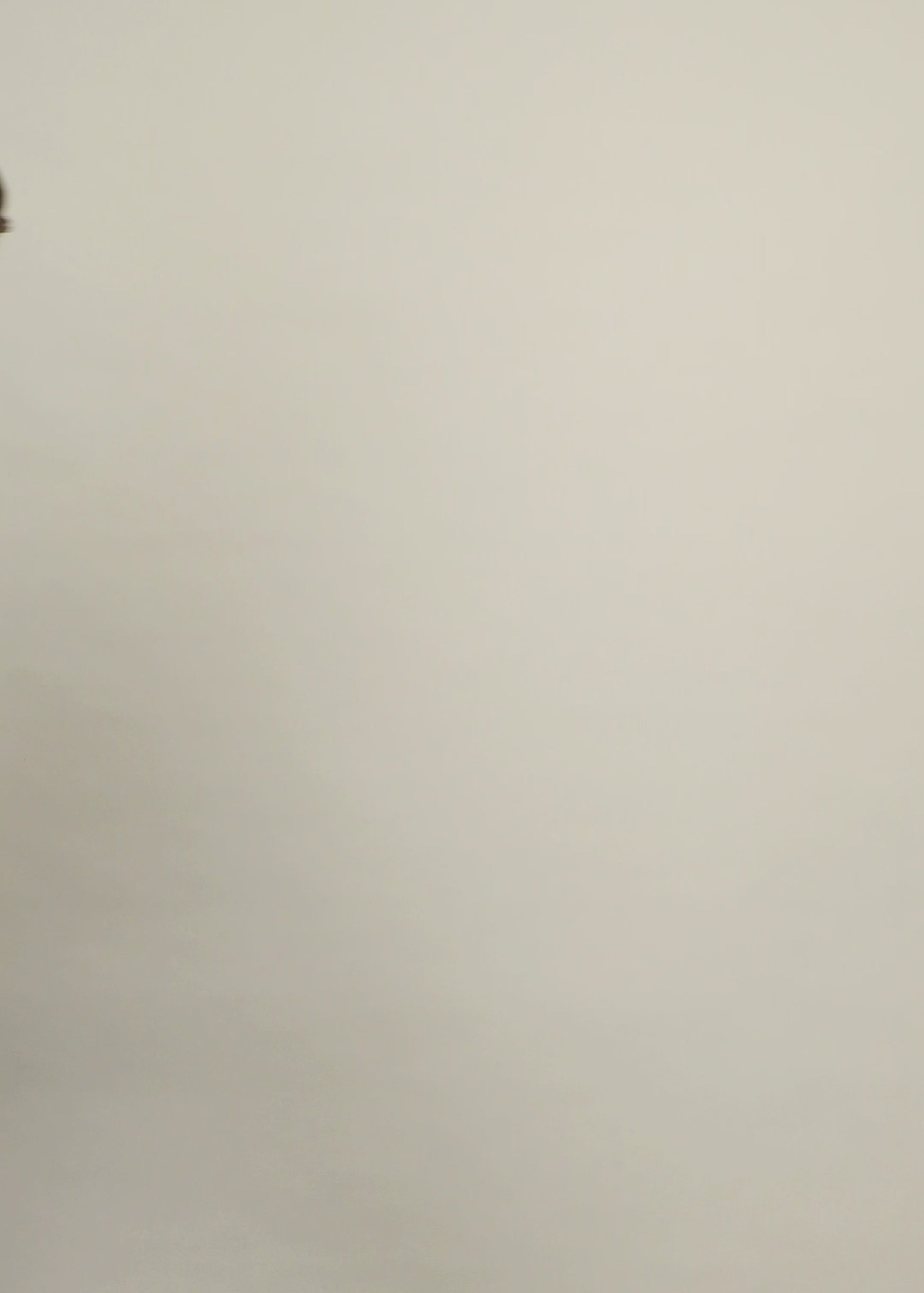 Noemi Shirt - CSIMTW-BER063