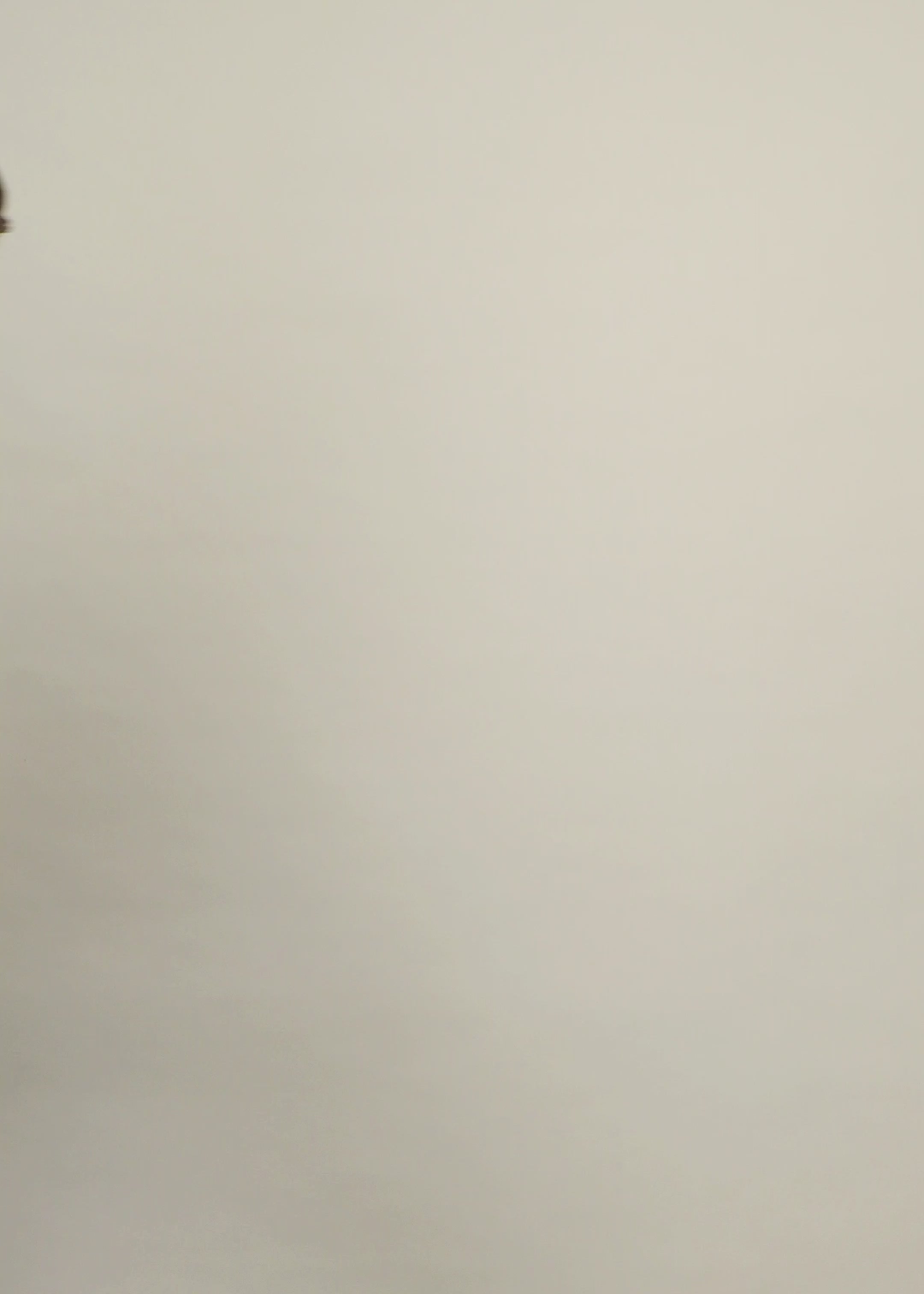 Noemi Shirt - CSIMTW-BER063