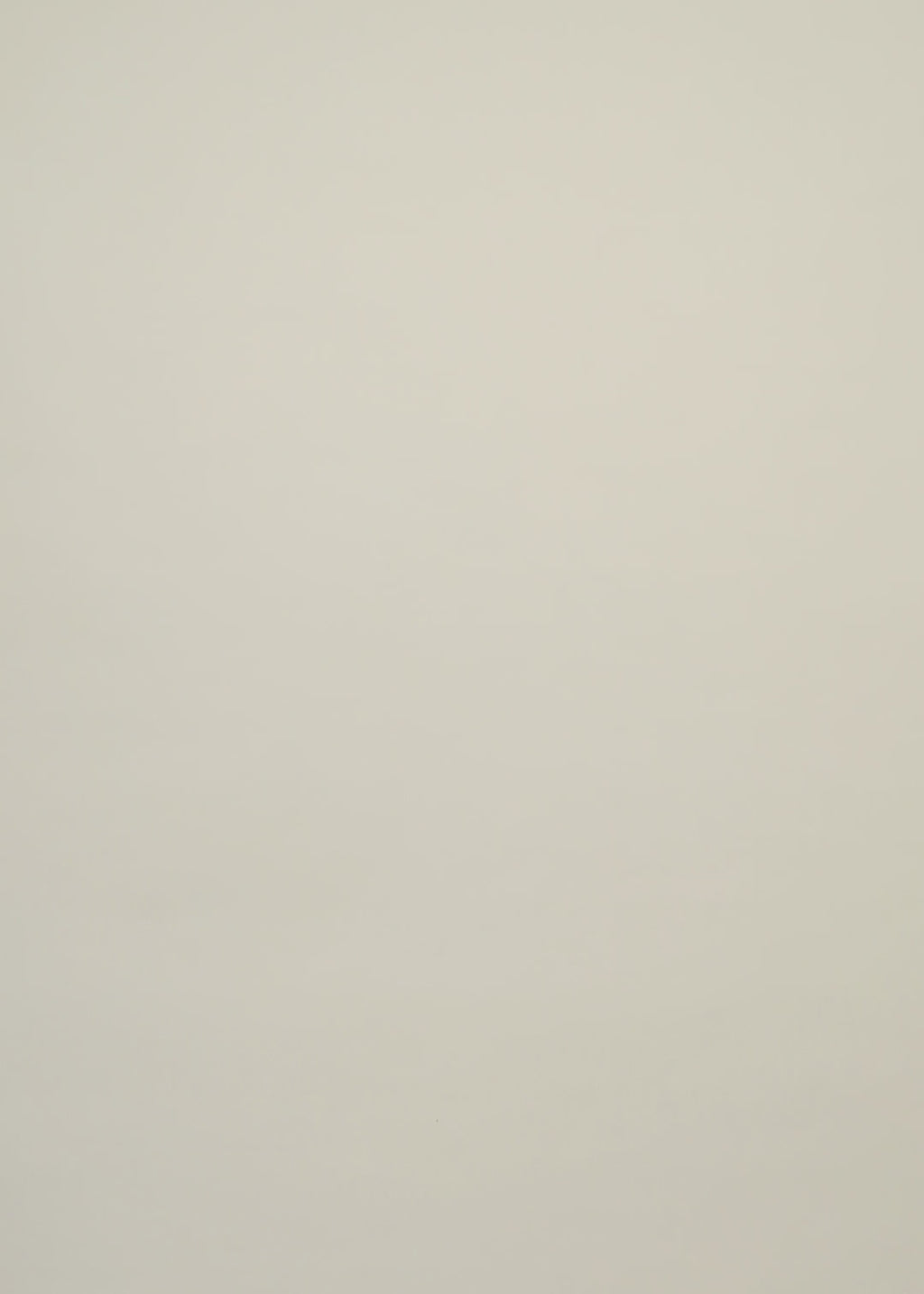 Chemise Marco - CSVCFI-BGM024