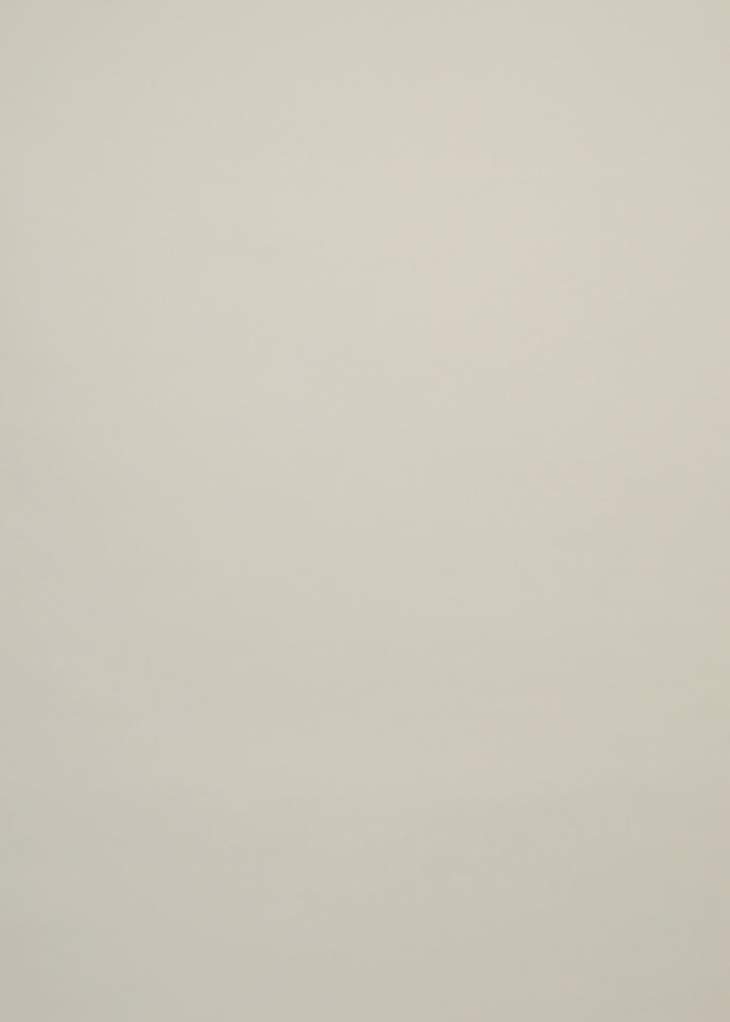 Chemise Lucia - CSVCTW-BEU094