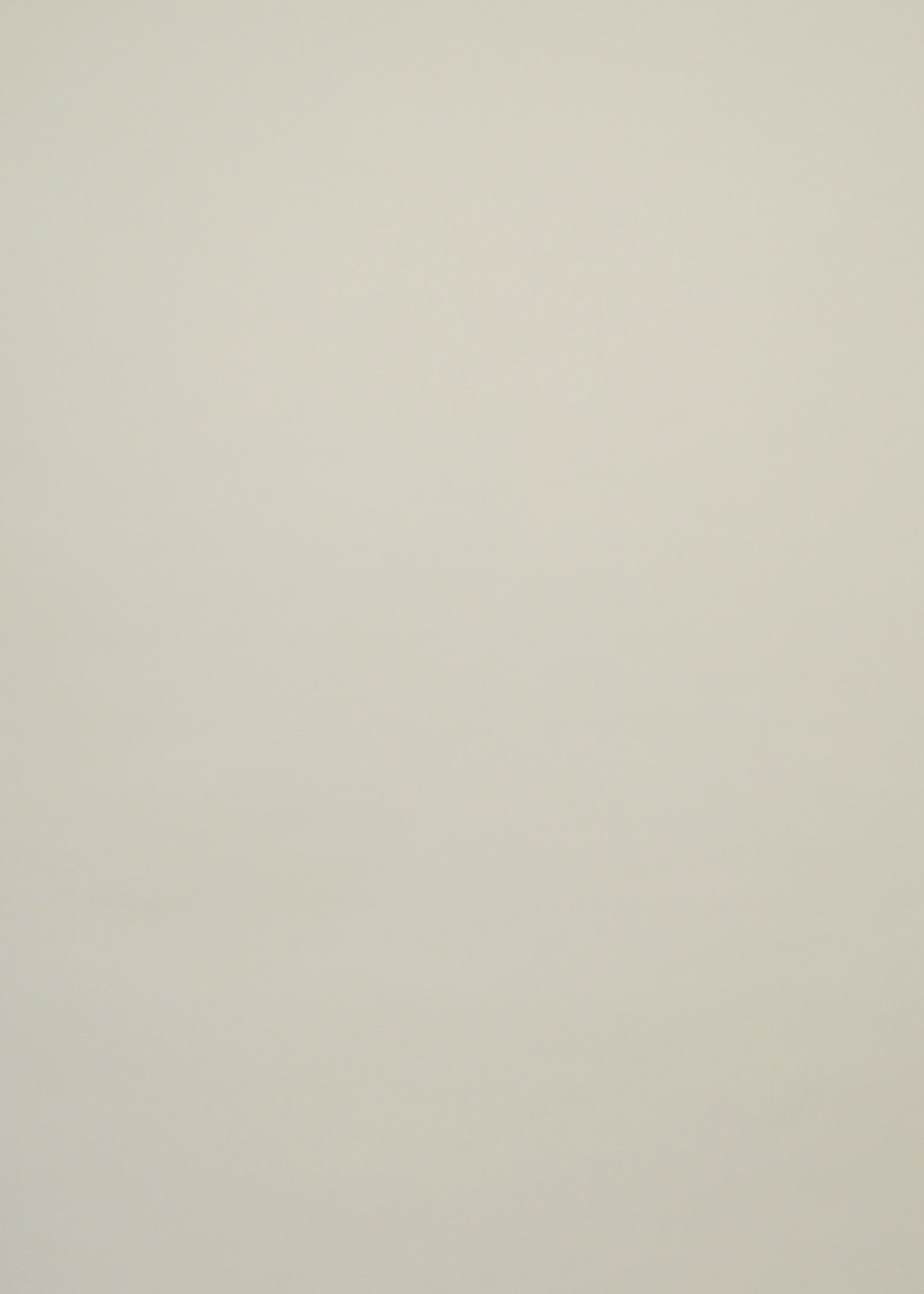 Chemise Sofia - CSITFL-BGU005