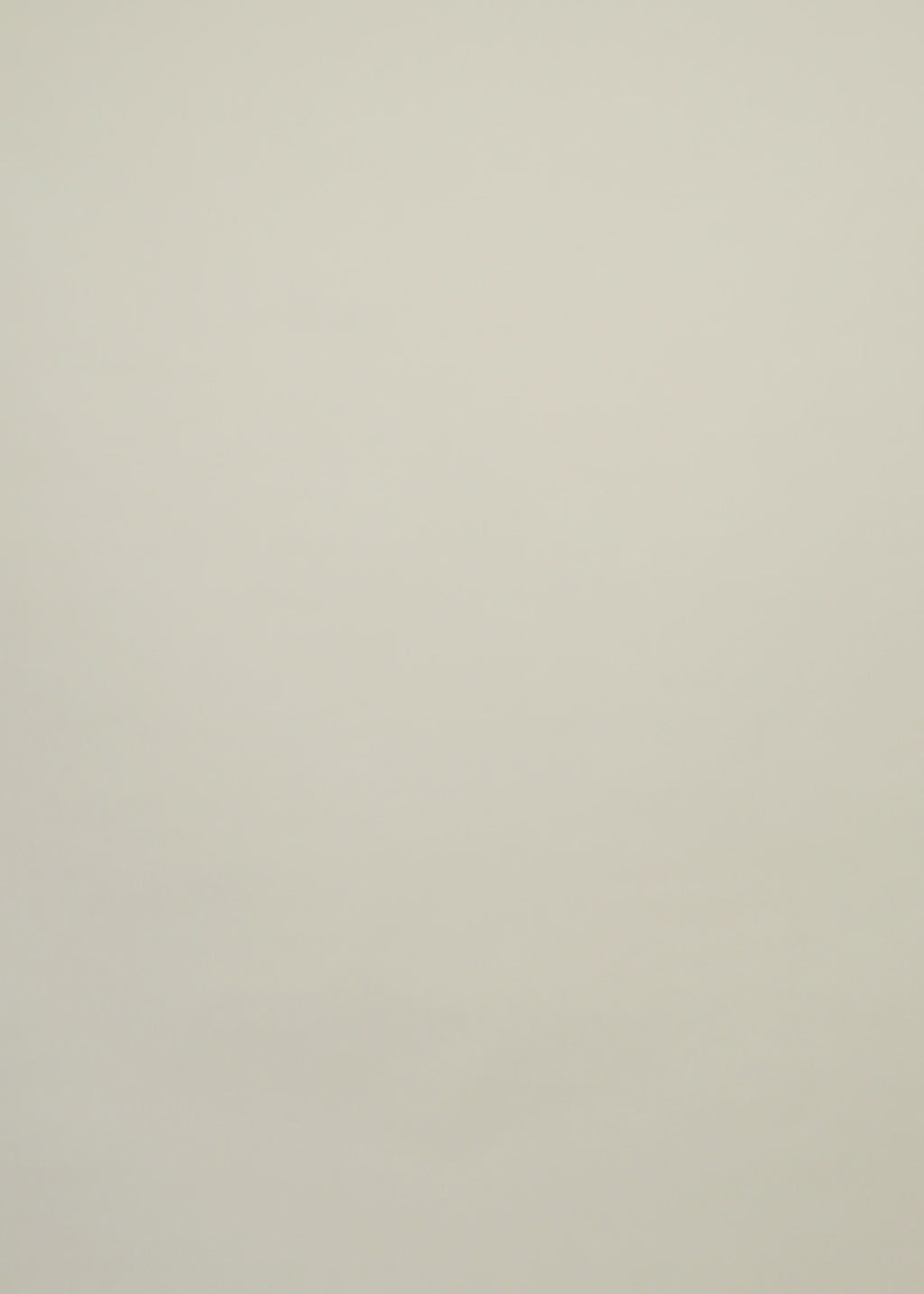 Chemise Sofia - CSITFL-BEU004