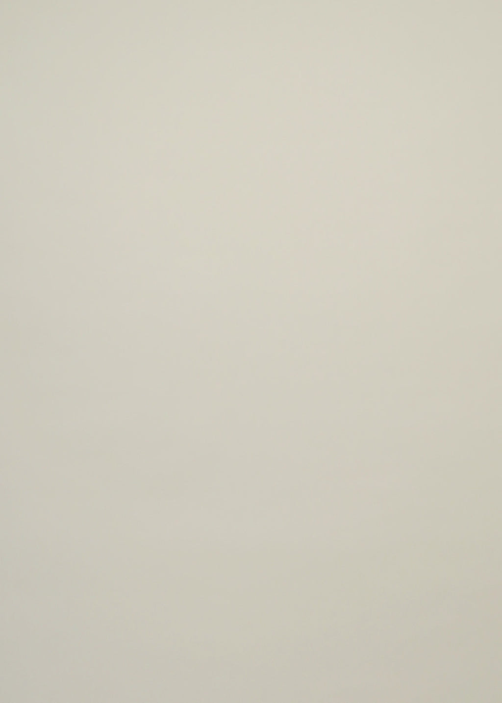 Chemise Andrea - CSLETW-BGU009